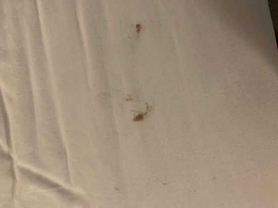 avid Hotel Fort Mill - Carowinds Blvd by IHG主图