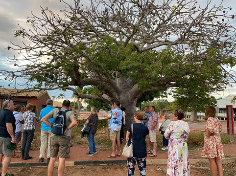 Salty Plum Social-布鲁姆必去景点