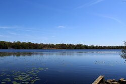 Parvin State Park-Elmer必去景点