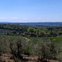 Parco di Poggio Valicaia-斯坎迪奇必去景点