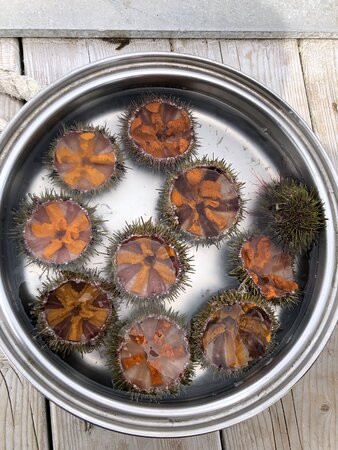 Tourisme Loiselle-Longue-Pointe-de-Mingan必去景点