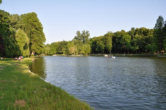 Parcul Nicolae Romanescu景点图片