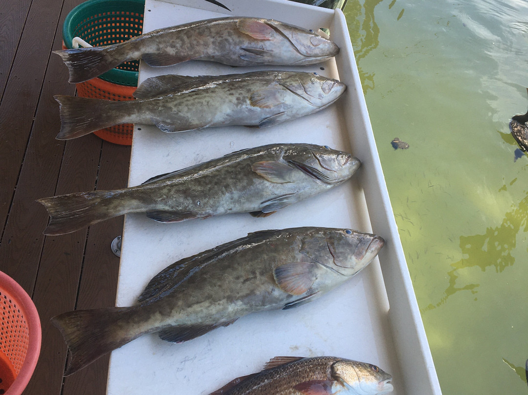 Southern Fishing Guide Service
