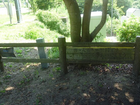 Tarumi Shinsui Park-大崎上岛町必去景点