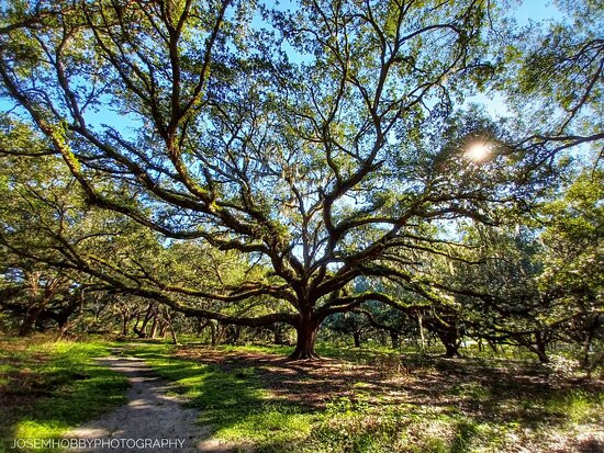 Lake Runnymede Conservation Area-圣克劳德必去景点