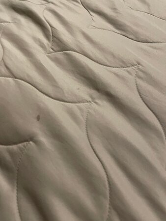 Beach Estates Inn主图