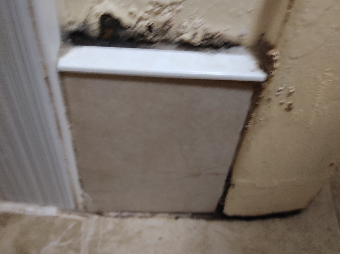 Comfort Inn & Suites Sarasota I75主图