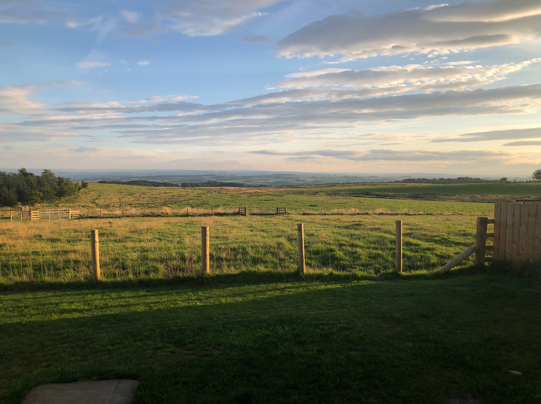 Sycamore Cottage & Glamping Pods