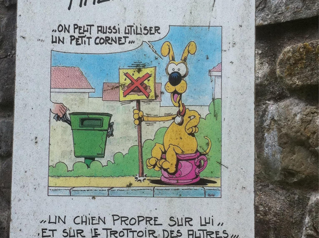 Hotel des Alpes主图