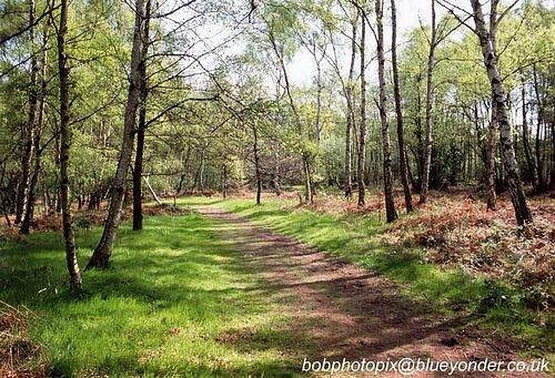 Highgate Common Wildlife Reserve-Wombourne必去景点