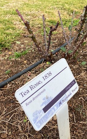 Dundullimal Homestead-达博必去景点