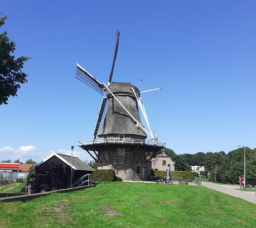 Molen 'de Zwaluw' (1784)-Hasselt必去景点