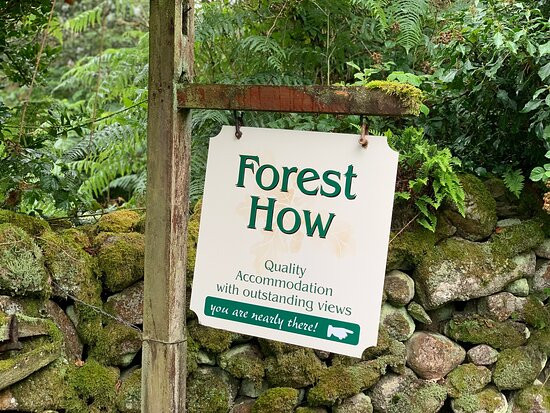 Forest How Guest House主图