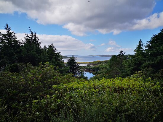 卡什尔小屋酒店主图