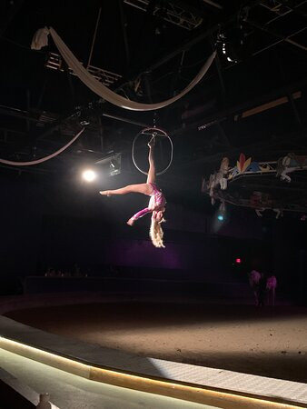 The Dancing Horses Theatre-Delavan必去景点