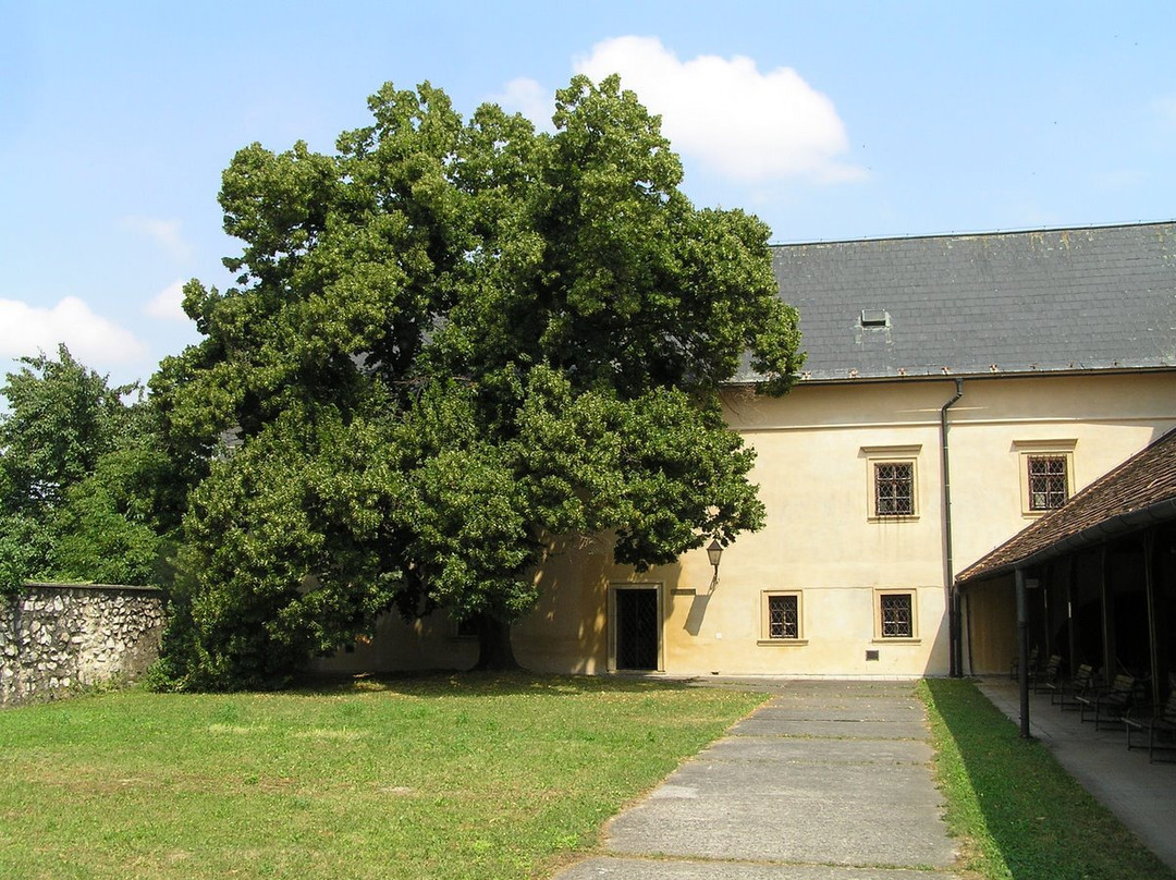 Chateau Ambrovec Beckov景点图片