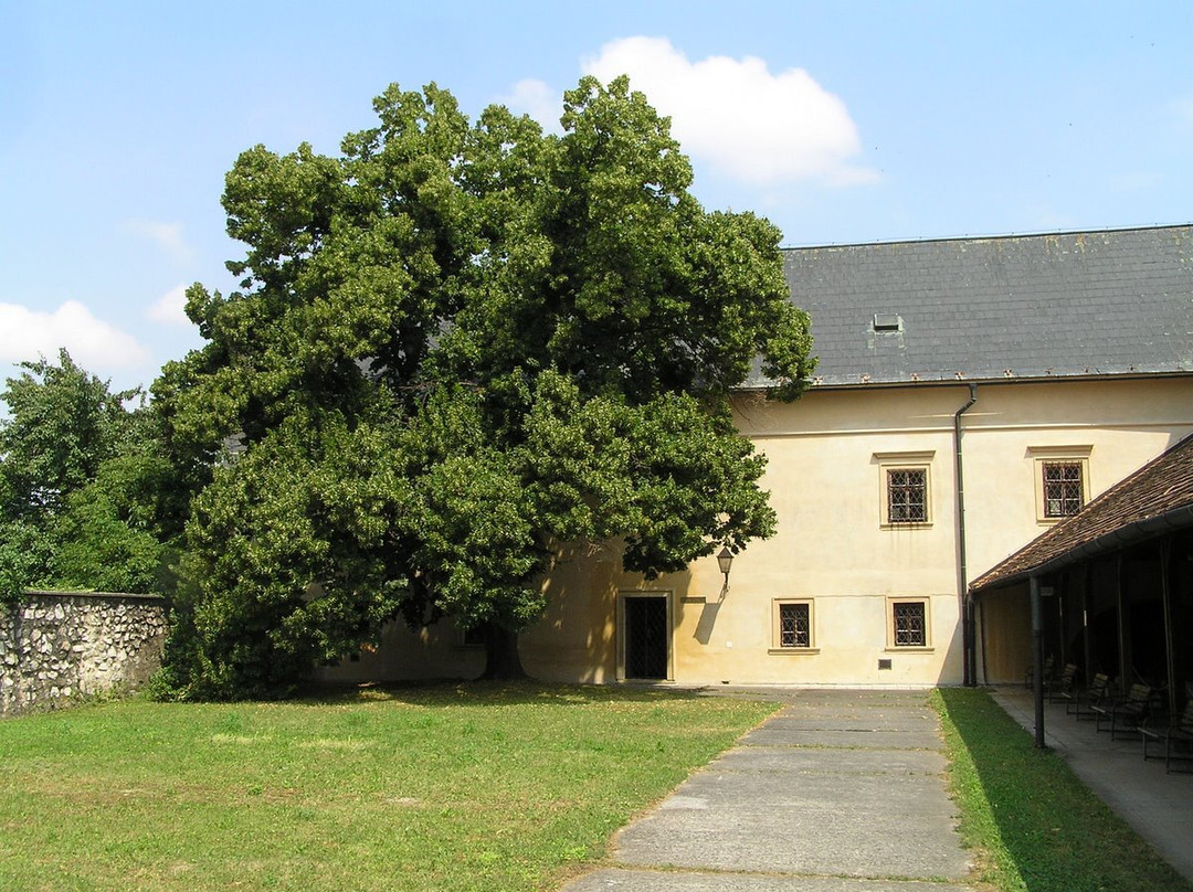 Chateau Ambrovec Beckov