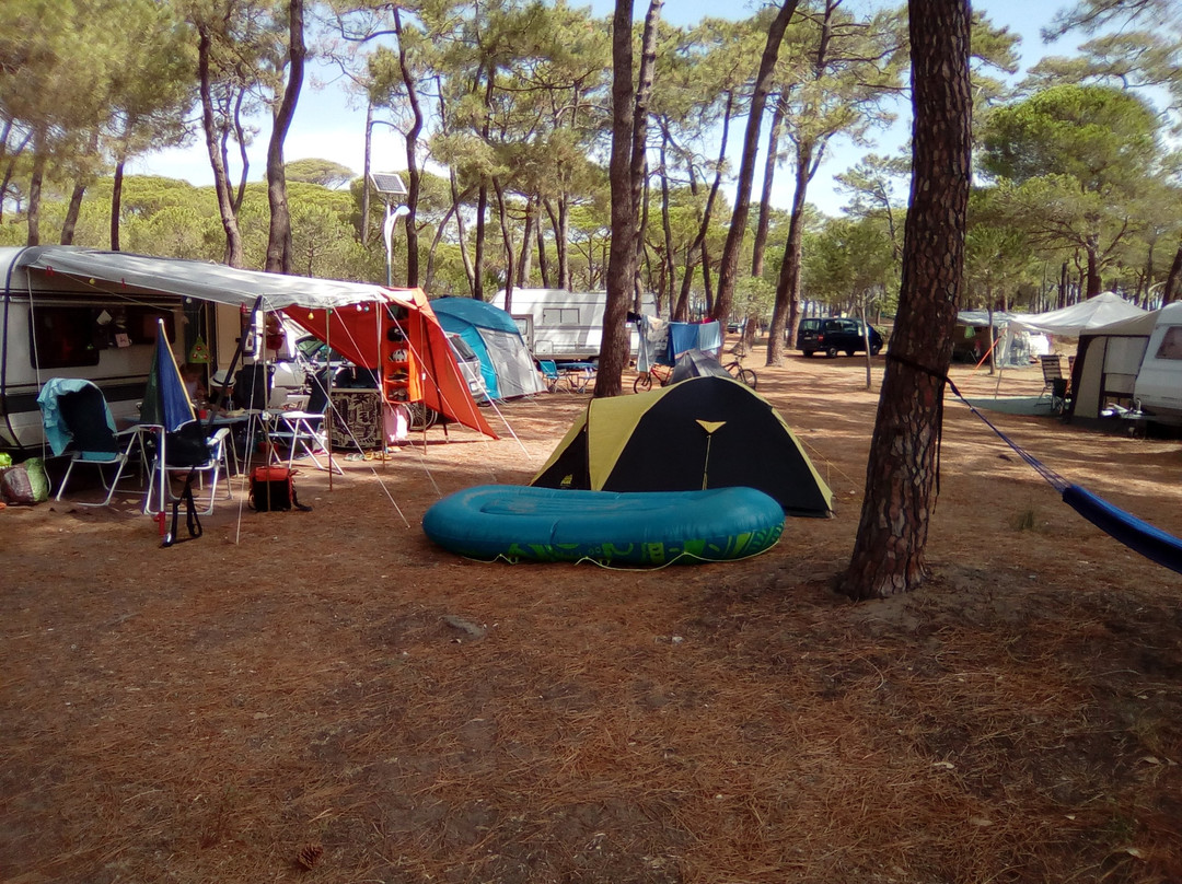 Camping La Tamarissière