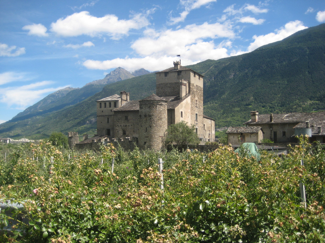 Castello Sarriod de La Tour景点图片