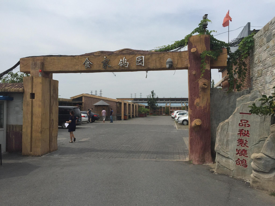 食家鸽园