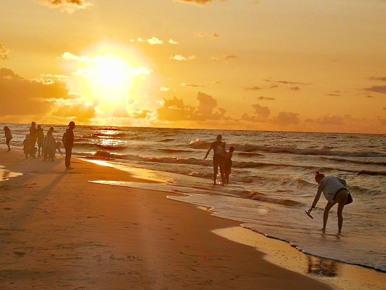 Willa Aquarius主图