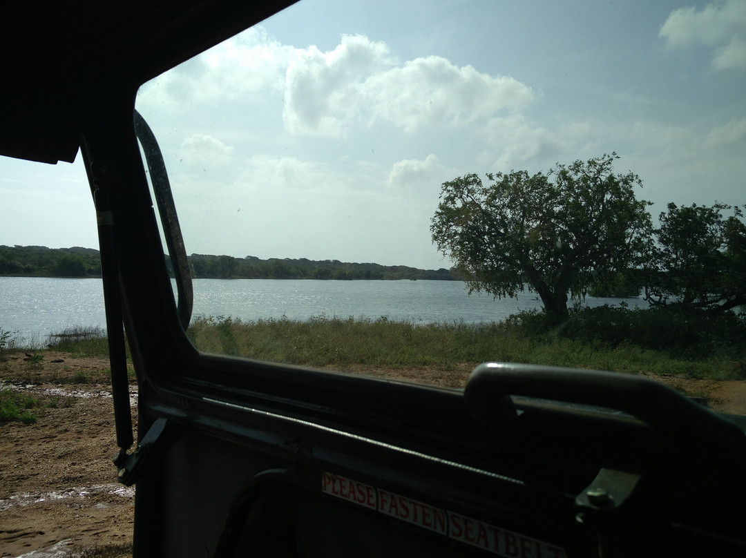 Yala National Park Jeep Safari景点图片