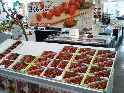 三川町旅游景点-Kiyokawaya, Tsuruoka Honten