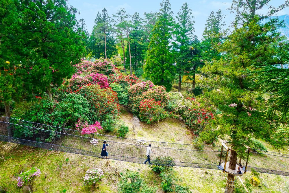 Kucho no Mura景点图片