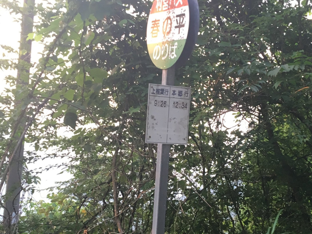Yokoimizu景点图片
