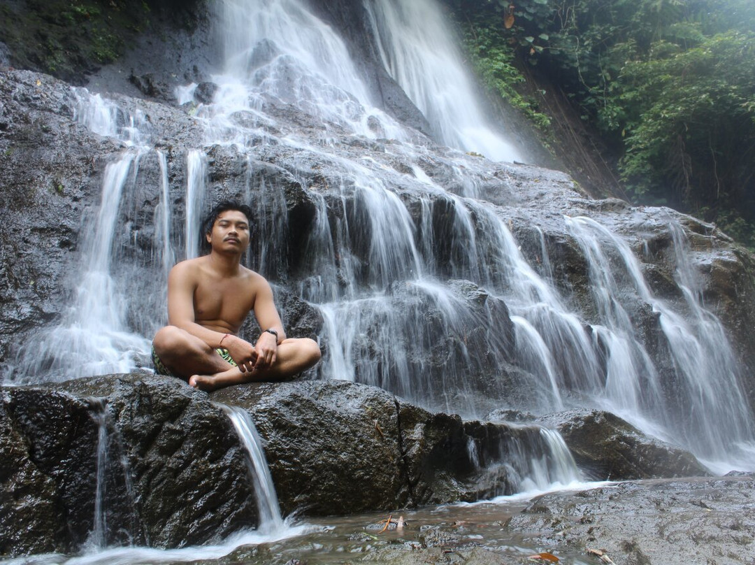 Goa Giri Campuhan \Waterfall景点图片