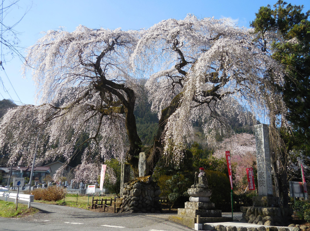 Chosen-in-秩父市必去景点