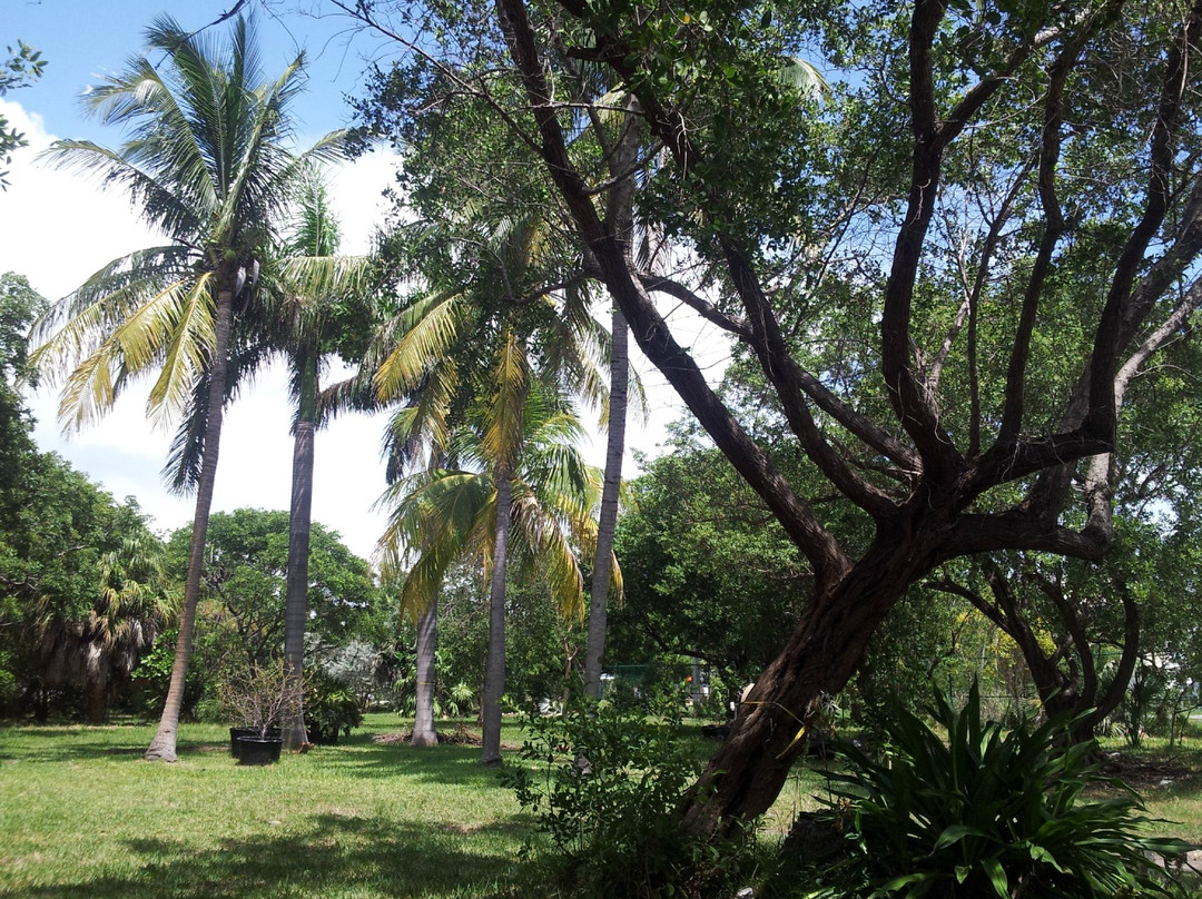 Key West Wildlife Center-基韦斯特必去景点