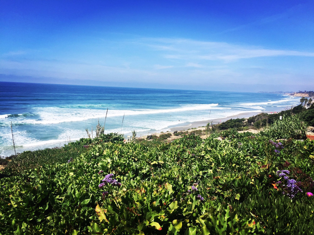 德尔马旅游攻略图片