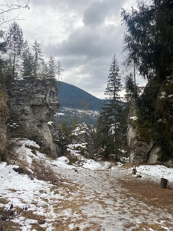 Pestera de Gheata si Grota ursilor景点图片