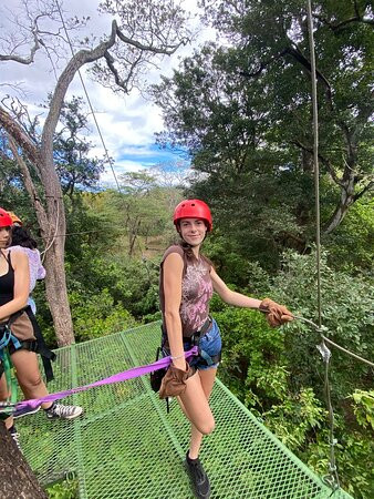 Monkey Jungle Canopy Tour景点图片