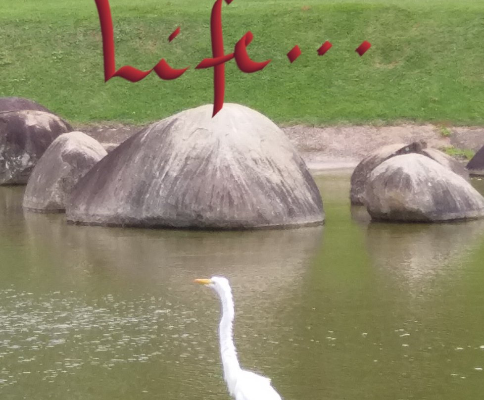 Jardim Botânico de Jundiaí-容迪亚伊必去景点