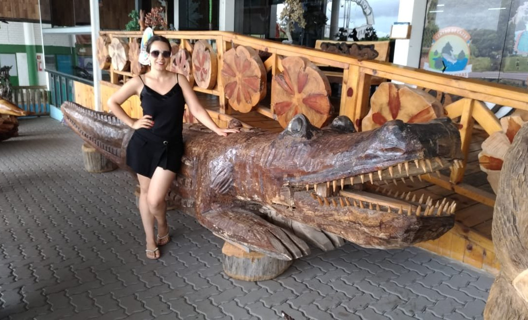 Hotel e Parque Das Tuias主图