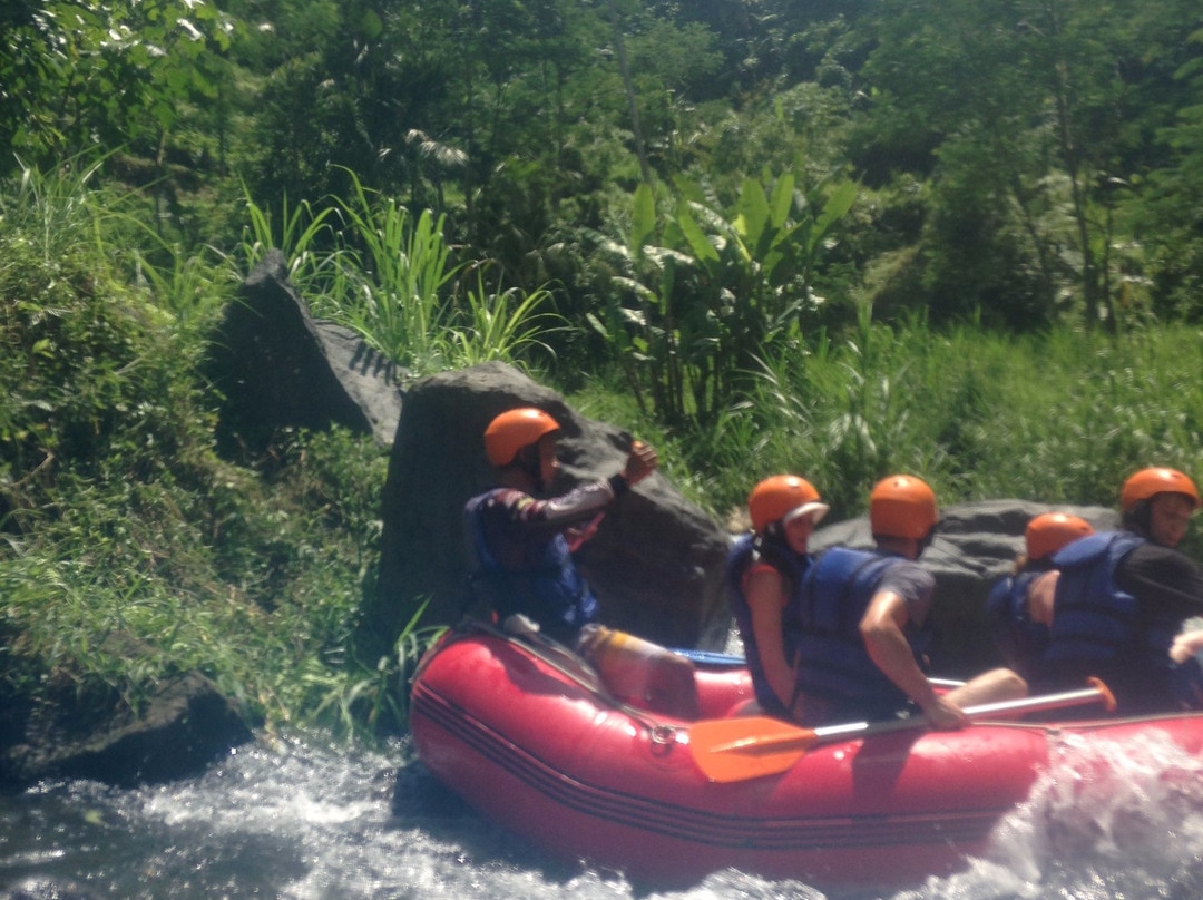 BMW Telaga Waja River Bali Rafting景点图片