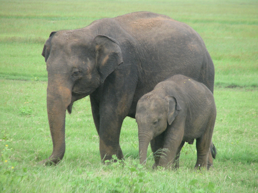 AnotherWorld Tours-锡吉里亚必去景点