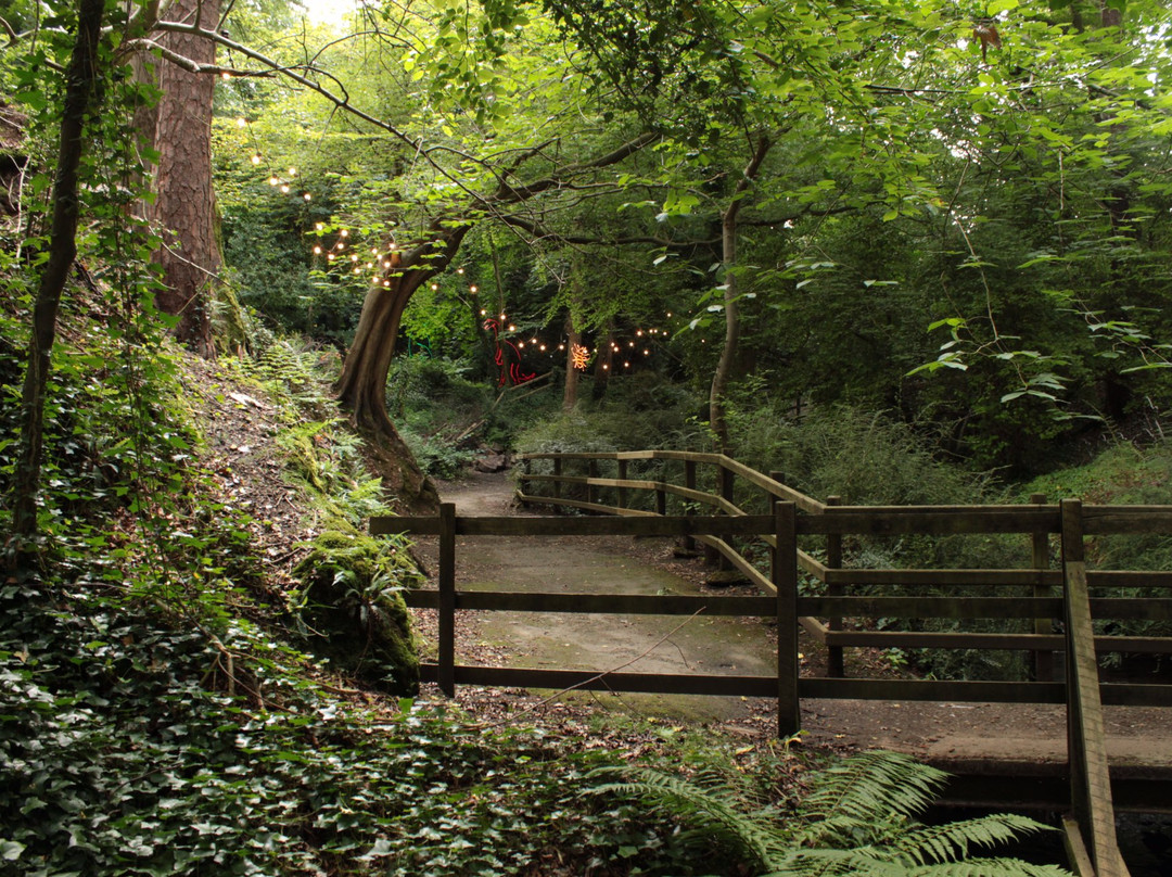 Summerhill Glen