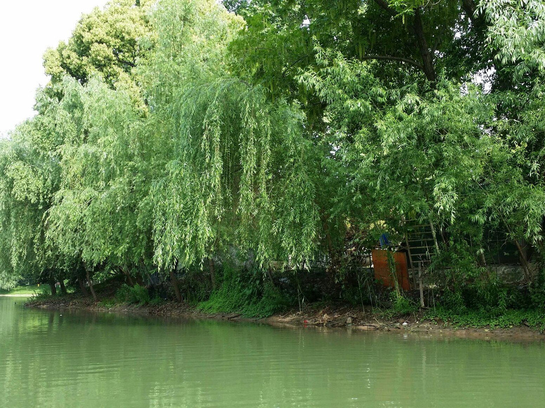 解放公园-武汉市必去景点