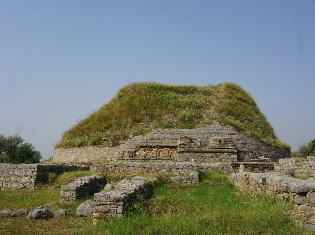 Dharmarajika Stupa And Monastery