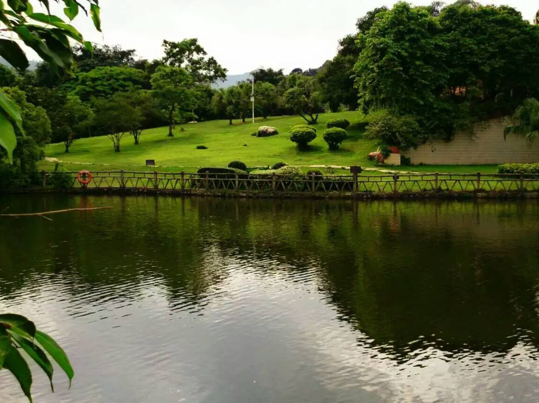 大屏障森林公园