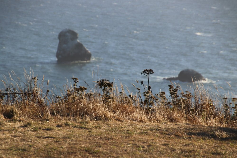 House Rock Viewpoint-布鲁金斯必去景点
