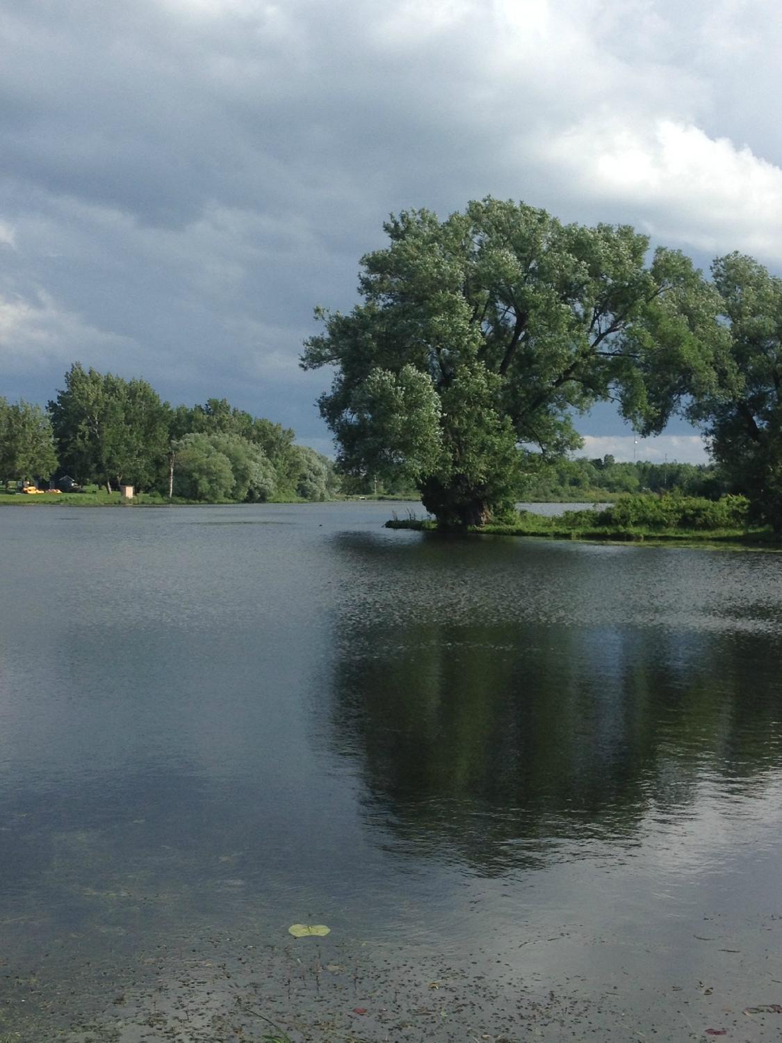 The Carriage House Bed and Breakfast-客卧