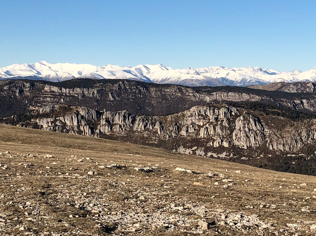 Andon旅游攻略图片