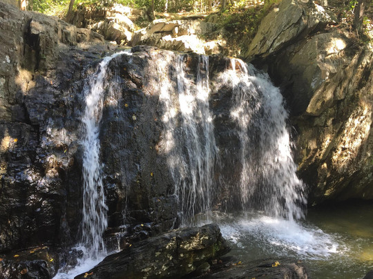 Jarrettsville旅游攻略图片