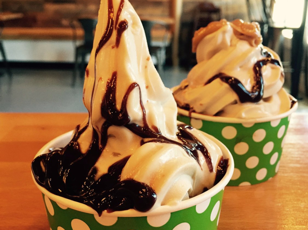 Ellijay餐馆和美食-Abby's Ice Cream & Frozen Yogurt