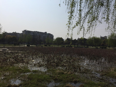 金华凤凰山公园-金华市必去景点