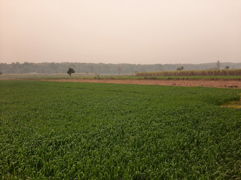 Hrishikesh旅游攻略图片